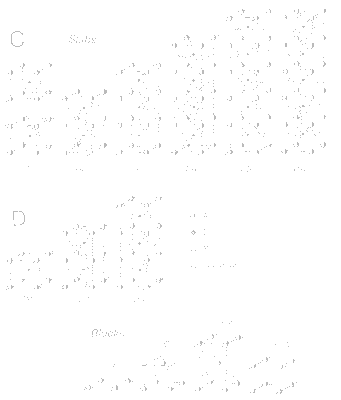 Perovskite-like slabs C, D and intermediate blocks