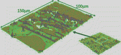 Fig 2.gif