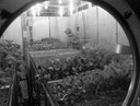 Тернистый путь замкнутых биологических систем жизнеобеспечения