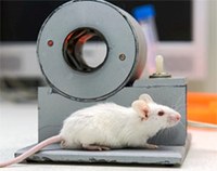 Наноскальпель порежет опухоли на мелкие кусочки