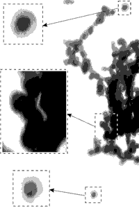 2003_2.gif