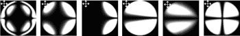2005_1_2.gif