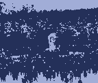 Pamyatnik3L.gif