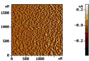 amiv_01_03.jpg