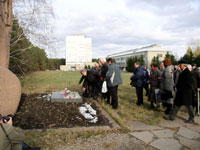 88.jpg