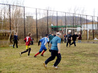 173.jpg