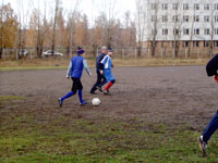 175.jpg