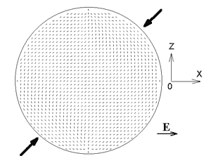 fig3.gif