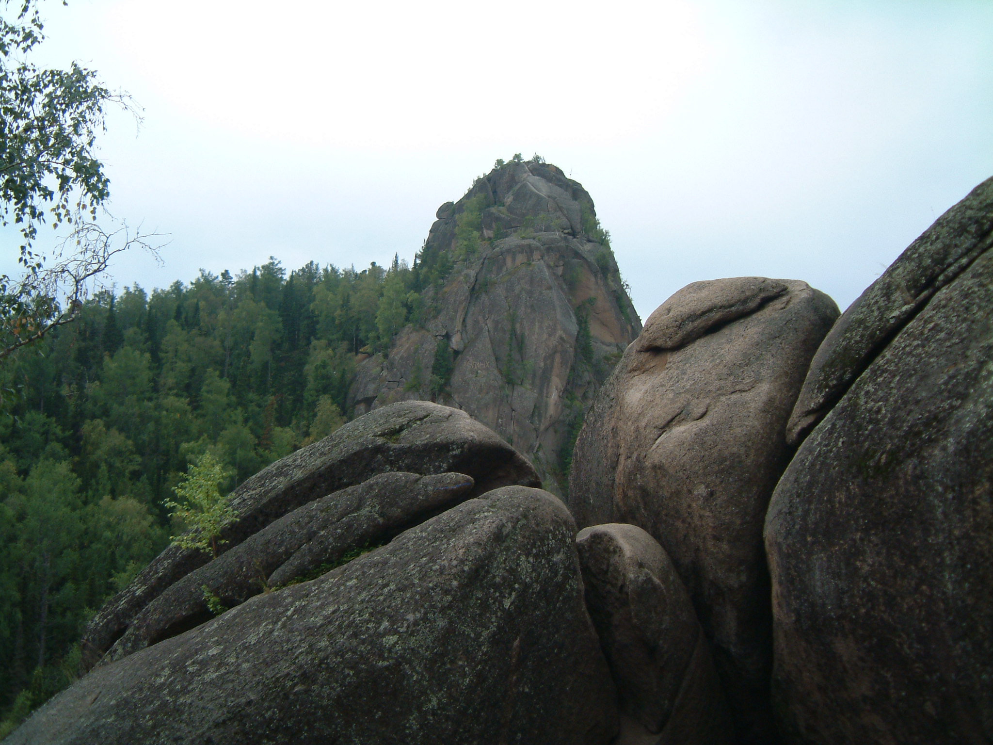 DSCF0649.jpg