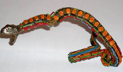 snake_b.jpg
