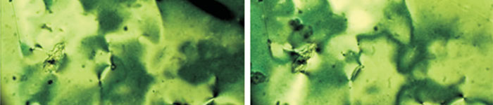 Transformation of the domain structure of the doped 5CB nematic