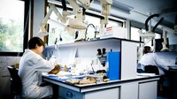 Гранты на академическую мобильность молодых ученых