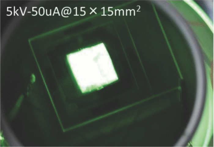 Fig 1.gif